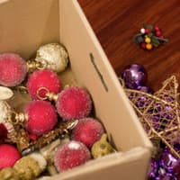 Pest Control Risks In Christmas Decorations