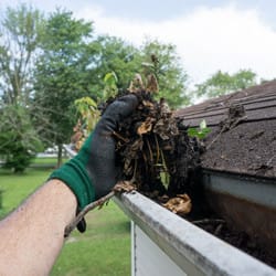 Spring Cleaning Tips To Avoid Spring Pests