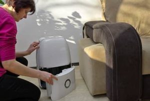 Foolproof Pest-Proofing Tips To Keep Pests Out Of Your House This Fall