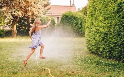 Preventing mosquitoes in your yard with Russell's Pest Control in Knoxville TN