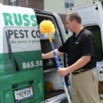 Yearly Pest Service Vs. One Time Service