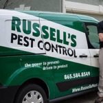 5 Things To Consider When Choosing A Pest Control Company