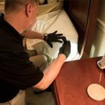 Why A Heat Treatment Could Be The Perfect Solution To Your Bed Bug Problem