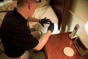 Why A Heat Treatment Could Be The Perfect Solution To Your Bed Bug Problem
