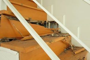 Did You Know That Homeowners Insurance Is Unlikely To Cover Termite Damage?