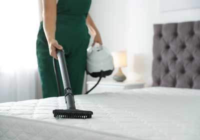 Vacuuming bed for bed bugs