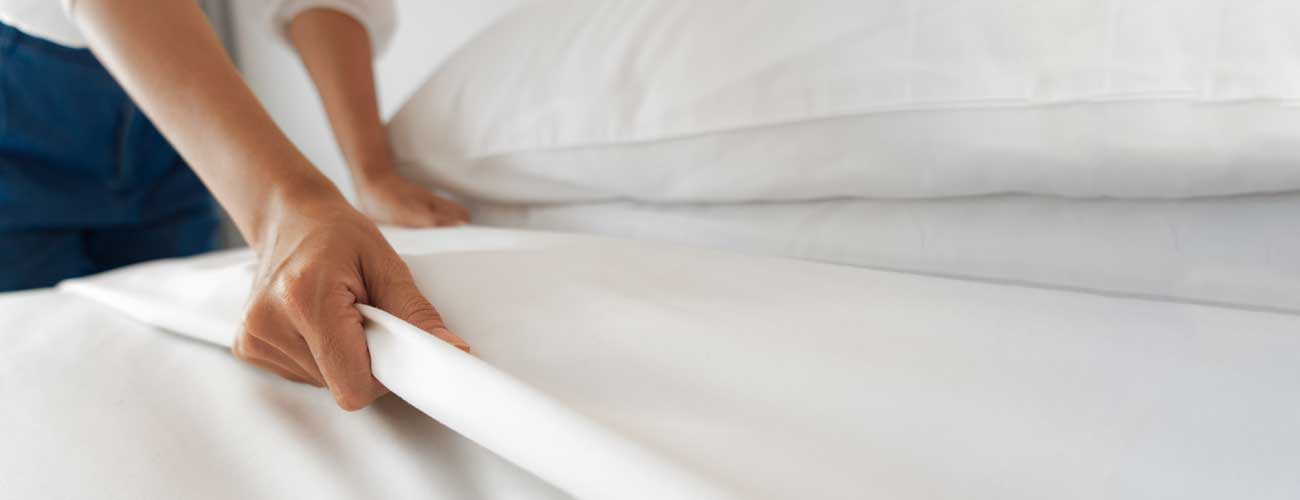 How Do I Prepare for Bed Bug Treatment in Knoxville? Bed Bug Checklist