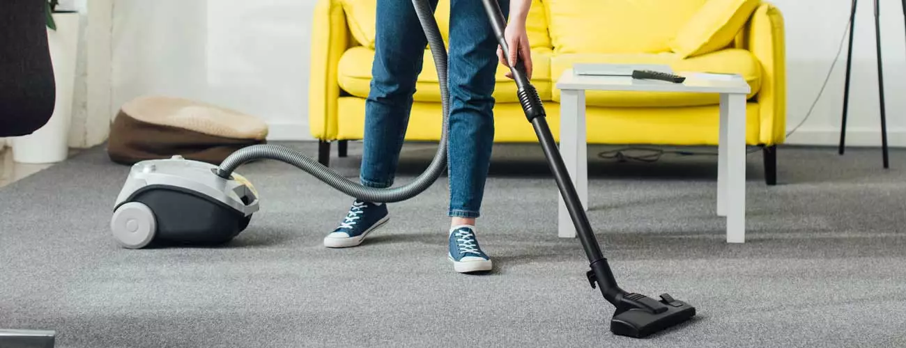 Vacuuming carpet for bed bugs