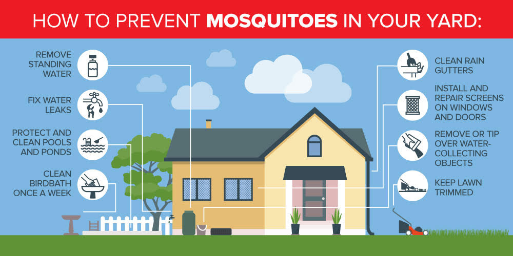 Mosquito prevention tips and ticks for homes in Knoxville TN - Russell's Pest Control