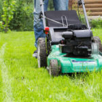 Mowing your lawn helps reduce pests in your Knoxville TN backyard - Russell's Pest Control