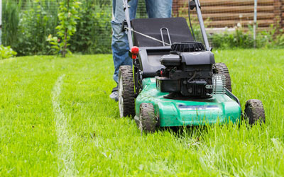 Mowing your lawn helps reduce pests in your Knoxville TN backyard - Russell's Pest Control