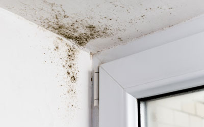Mold or mildew can be stopped with whole house dehumidifier installation in Knoxville TN - Russell's Pest Control