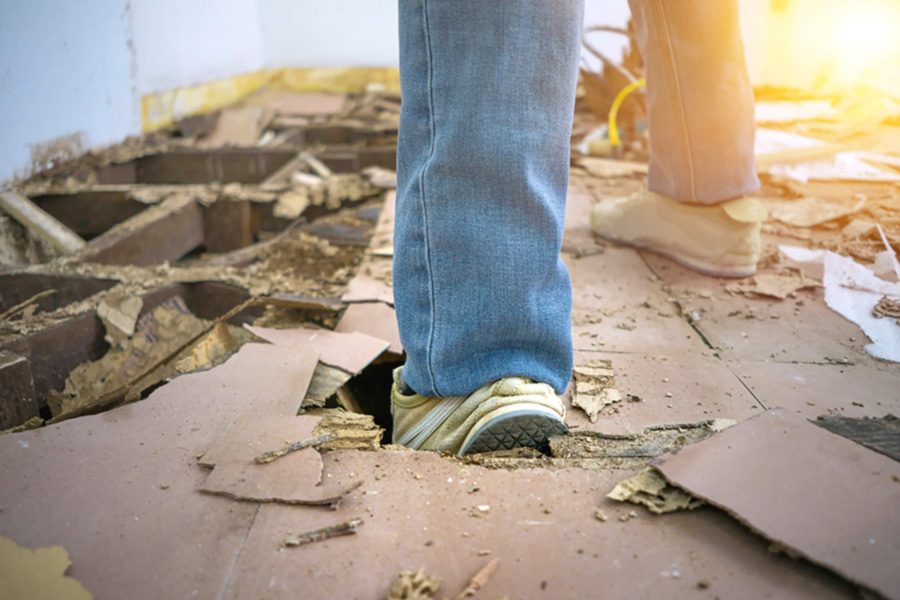 How much damage can termites cause in Knoxville Tn