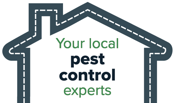 Local pest control expert graphic by Russell's Pest Control in Knoxville TN