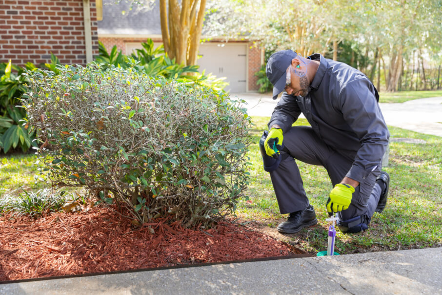 Residential pest control technician in Knoxville TN - Russell's Pest Control