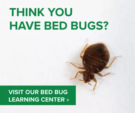 Bed bug learning center graphic by Russell's Pest Control in Knoxville TN