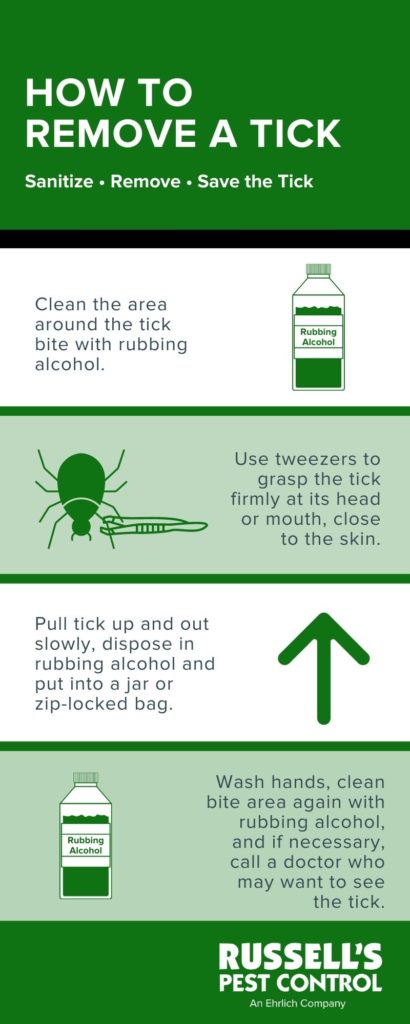 Tick removal guide - Russell's Pest Control in Knoxville TN