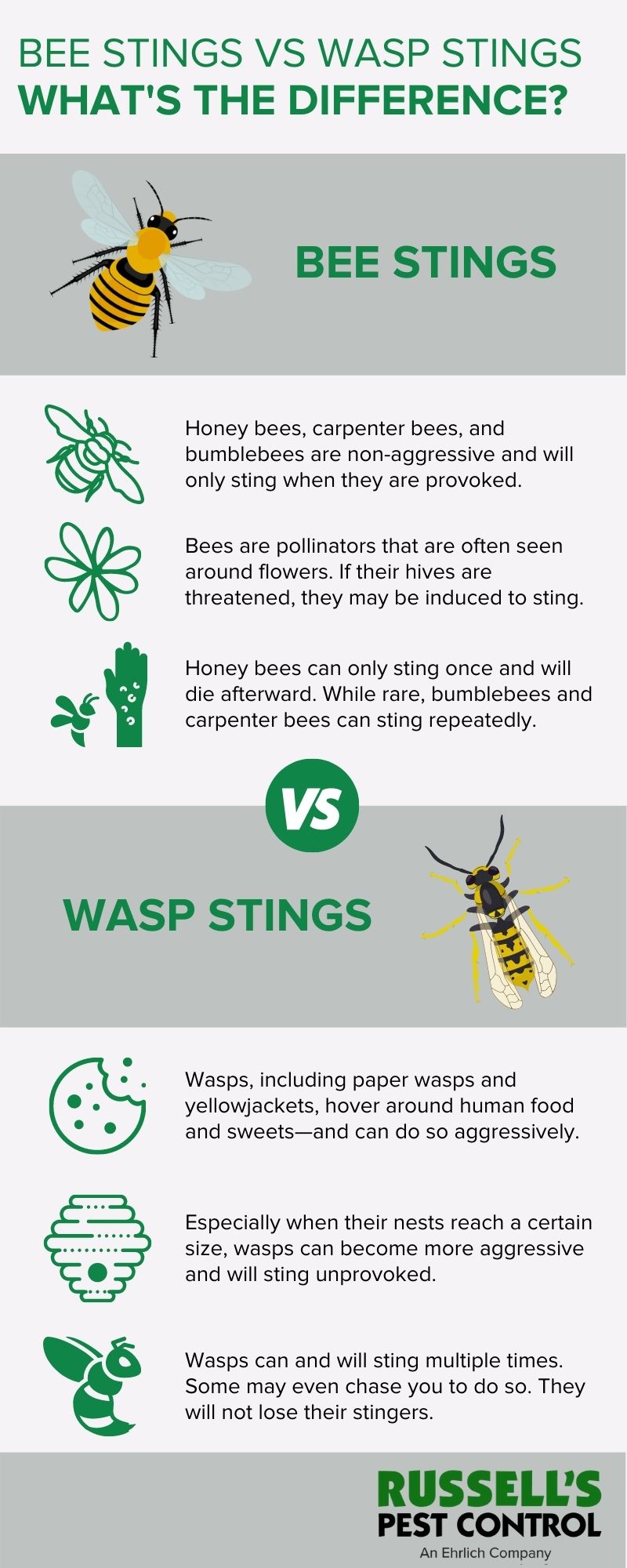 How are Bee and Wasp Stings Different?