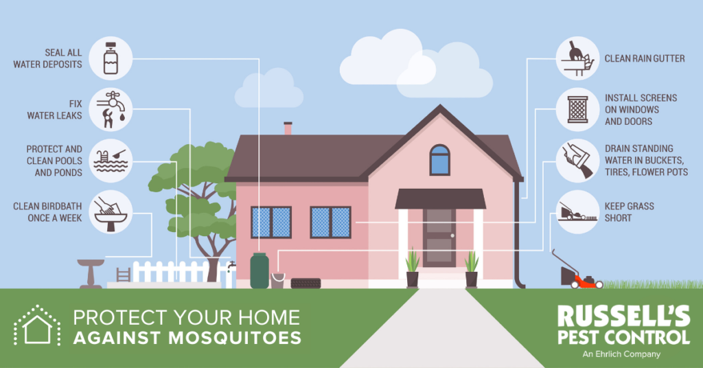 Protect your home from mosquitoes in Knoxville TN - Russell's Pest Control