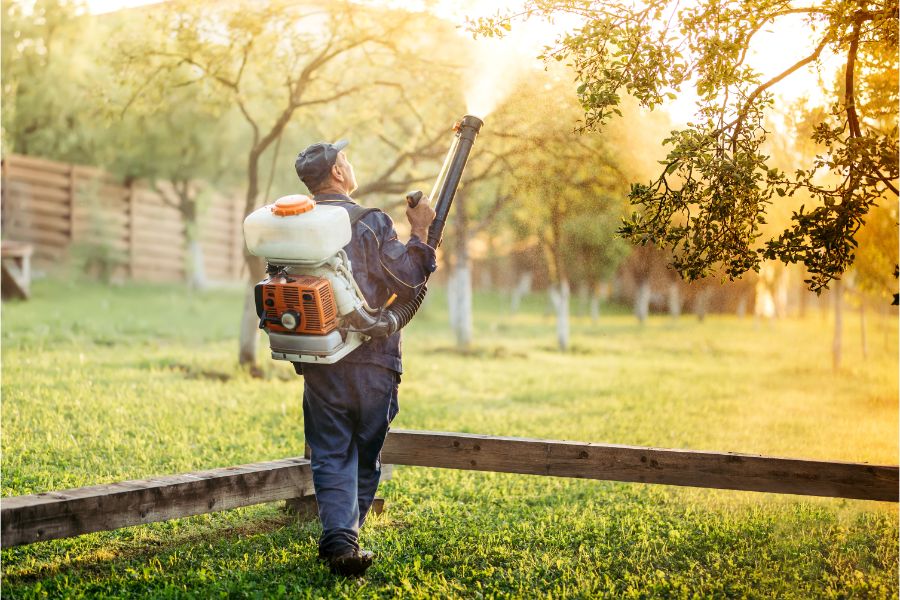 Mosquito Yard Treatment | Knoxville TN | Russell's Pest Control