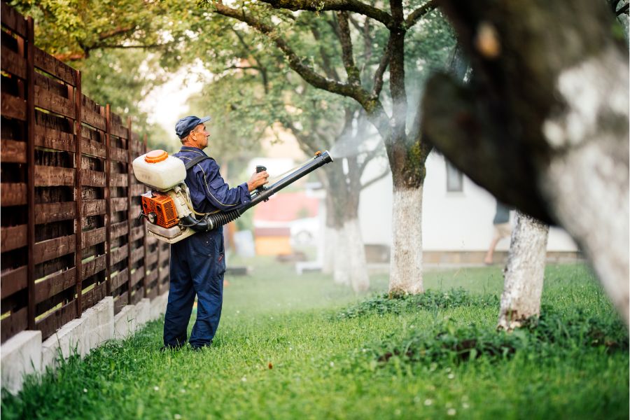 Mosquitoes prevention in yard | Knoxville TN | Russell's Pest Control