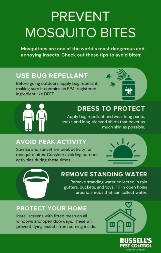 How to prevent mosquito bites in Knoxville TN - Russell's Pest Control