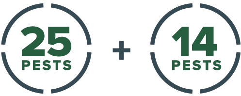 Logo for 25 + 14