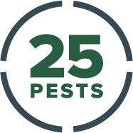 Logo for 25